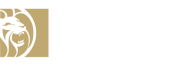 promo brand